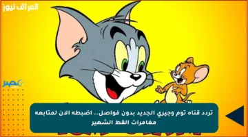 تردد قناة توم وجيري الجديد بدون فواصل.. اضبطه الآن لمتابعة مغامرات القط الشهير